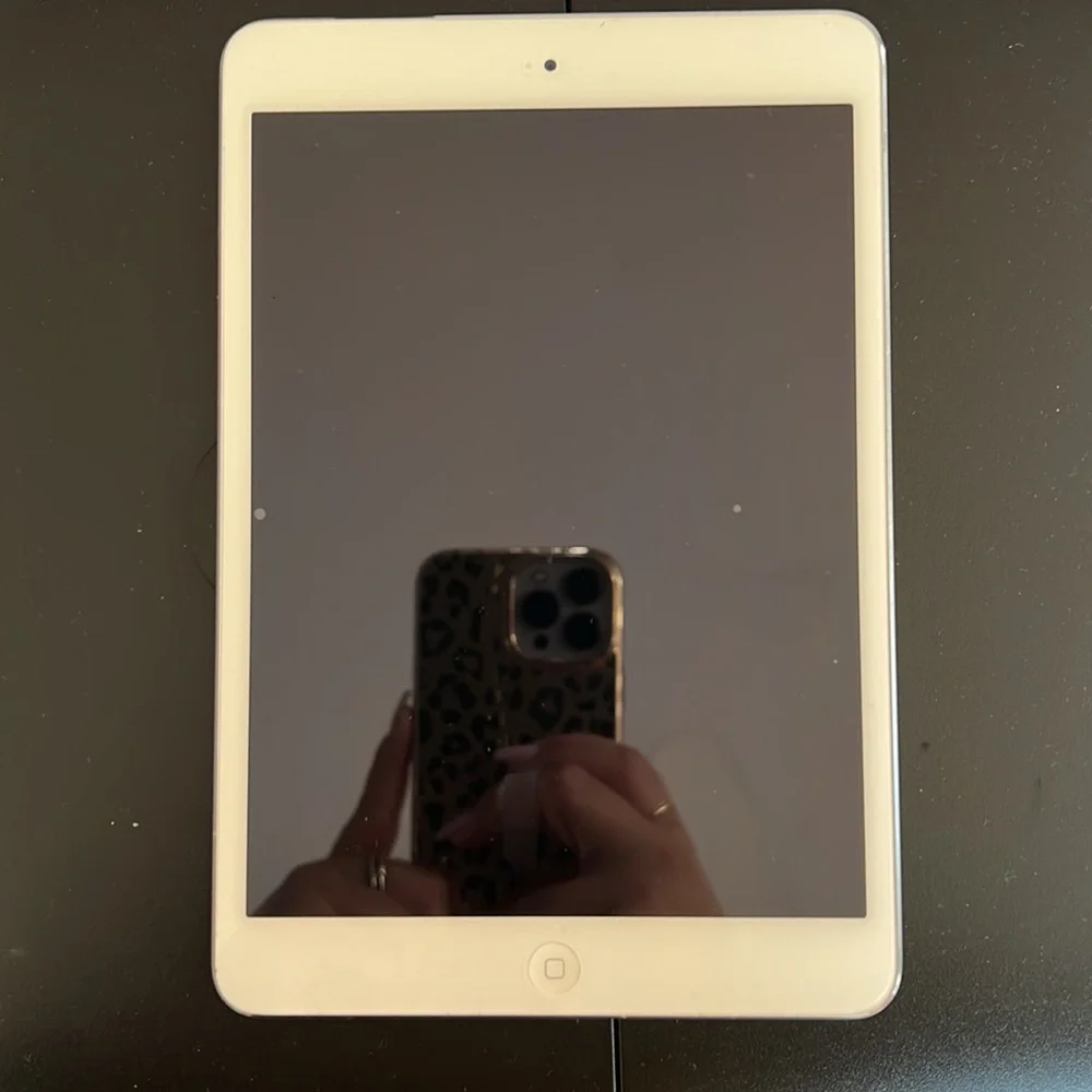 iPad Mini 2